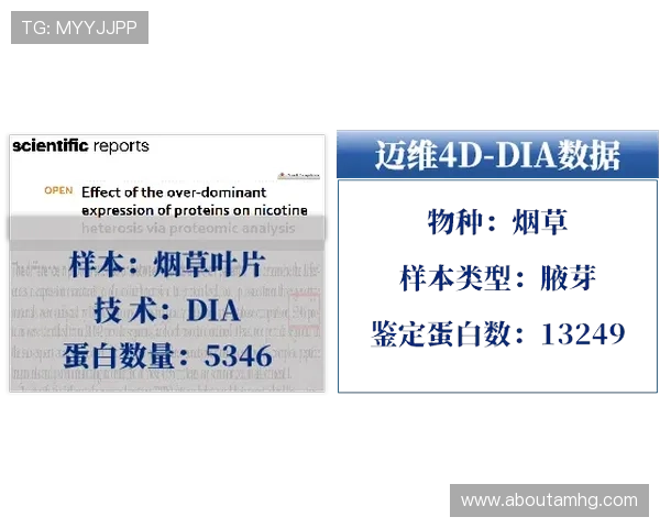 新濠锋官网用户注册流程与账户安全保护措施全方位解读