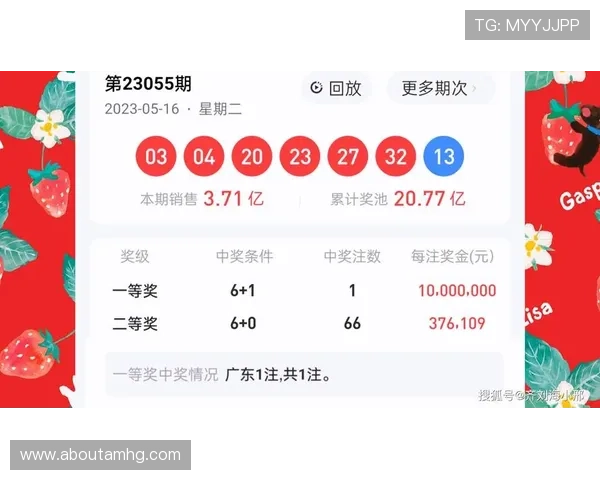 在六合彩官方首页获取权威的开奖公告与中奖资讯，帮助玩家科学分析号码走势与投注方案